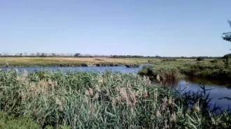 ГТС водохозяйственного объекта согласно учетной карточке № 1733003 Балка Салантырь, кадастровый номер 61:33:0600002:404 Общее техническое состояние гидротехнического сооружения оценивается как работоспособно (продолжает выполнять заданные функции), но неисправно; неудовлетворительное состояние…