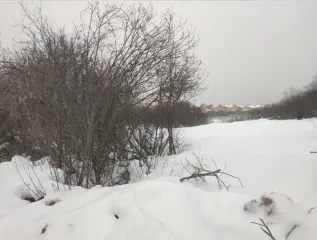 Аукцион в отношении земельного участка с КН 50:08:0060320:1290 Аукцион в отношении земельного участка с КН 50:08:0060320:1290 
Площадь земельного участка: 600 
Кадастровый номер земельного участка: 50:08:0060320:1290 
Основной вид разрешенного использования: 2.1 
