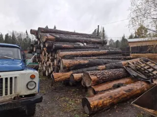 Лиственница, сосна, ель, пихта 84.4 м3, Красноярский край. 157 стволов деревьев пород лиственница, сосна, ель, пихта - 84,427 м3. Срублен предположительно 2022 год. Хранился на открытой площадке, почернел. Находится Красноярский край, Мотыгинский район, п. Кулакова, на данный момент состояние…