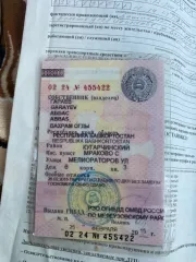 ГАЗ 330202 2004 330202 Снежно-Белый 2004 г.в. Автомобиль ГАЗ 330202, 2004 г. выпуска, (VIN) XTH33020241938835, государственный рег. знак: У298ОВ02. Получение возможности ознакомления c реализуемым имуществом с момента публикации сообщения о продаже имущества и до окончания приема заявок по…