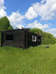 Земельный участок 1441 кв.м. и дом 46.6 кв.м., Нижегородская область, Воскресенский район, сельское поселение Нестиарский сельсовет, деревня Никаново, улица Ветеранов, 7. Кадастровый номер участка: 52:11:0150006:21, вид разрешенного использования: для ведения личного подсобного хозяйства…