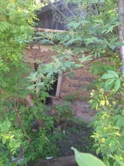 Жилой дом 17.5 м² и земельный участок 680 м², Тамбовская область, Жердевский район, город Жердевка, улица Свобода, дом 52. Назначение дома: жилое. Земельный участок для ведения личного подсобного хозяйства. Доля в праве общей долевой собственности на каждый объект составляет 1/2.