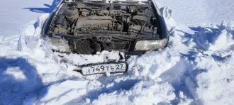Автомобиль марки Nissan Bluebird , г/нH749TE27 ,1994  г.в., № двигателя 636712A , № кузова  EU13378441, цвет черный Автомобиль марки Nissan Bluebird , г/нH749TE27 ,1994  г.в., № двигателя 636712A , № кузова  EU13378441, цвет черный 1 Штука (шт) 
Модель: Ниссан 
Назначение: pryamie 
Вид транспорта…