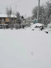 Садовый дом 21.1 кв.м в Нижегородской области. Площадь – 21,1 кв.м, количество этажей - 1, кадастровый номер 52:15:0090504:1139 и земельный участок, площадь 506 кв.м, кадастровый номер 52:15:0090504:750, категория земель: земли населенных пунктов, виды разрешенного использования: для ведения…