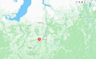 Трактор К-700А, г/н 8067ЕЕ66, з/н 8213845, г.в. 1981.