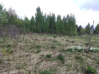 Земельный участок в Татарстане, 600 кв.м., расположенный по адресу: Россия, Республика Татарстан, Верхнеуслонский муниципальный район, Набережно-Морквашское сельское поселение, "Родник" СНТ, д.б/н, с кадастровым номером: 16:15:121401:453, площадью 600 кв.м. Является предметом залога ПАО "Sberbank"…