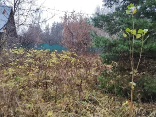 Земельный участок 621 кв.м, Московская область. Кадастровый номер 50:23:0020271:2407. Вид разрешённого использования 2.2.