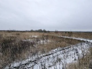 Земельный участок 600 кв.м в Московской области, городской округ Раменский, деревня Аргуново. Кадастровый номер: 50:23:0050573:1513. Площадь: 600 +/- 17 кв.м. Категория земель: сельскохозяйственного назначения. Вид разрешенного использования: для ведения садоводства.
