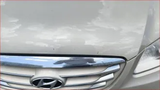 Hyundai Elantra 2010 года, 122 л.с., пробег 193 973 км. Тип – легковой, модель Elantra 1.6 GL MT. VIN: KMHDT41BAAU001842.