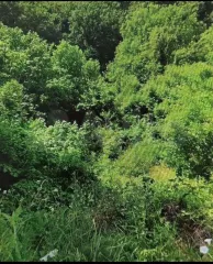 Земельный участок 854 кв.м. Кадастровый номер: 23:03:0000000:1359. Право собственности. Площадь: 854 +/- 10.23 кв.м. Разрешенное использование: для ведения личного подсобного хозяйства. Дата государственной регистрации права: 17.09.2020. Адрес: Краснодарский край, Белоглинский район, Успенское с/п…