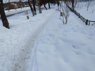 Земельный участок, общая пл. 78 000 кв.м., кад. № 69:15:0000020:178. Категория земель: земли особо охраняемых территорий и объектов, разрешенное использование: для использования в рекреационных целях. Местоположение установлено относительно ориентира, расположенного в границах участка. Почтовый…