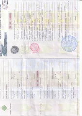 Daihatsu Terios Kid 2003, кузов J111G068196, год выпуска 2003, мощность 64 л.с., ПТС 25УР 608099.