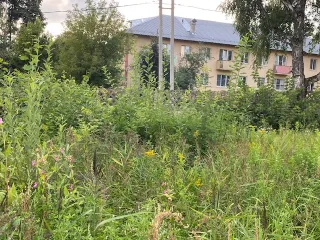 Земельный участок 1500 м², Владимирская область, Петушинский район, г. Петушки, ул. Кирова. Кадастровый номер 33:13:010211:717, площадь 1 500 +/-13 м. кв. Местоположение установлено относительно ориентира, расположенного в границах участка. Почтовый адрес ориентира: Владимирская обл, район…