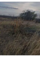 Земельный участок, 500 кв.м, Краснодарский край, г. Ейск, с/т "Виктория", дом 234, категория земель: Земли населенных пунктов, разрешенное использование: Земельные участки садоводческих товариществ, кадастровый номер: 23:42:0708002:155.