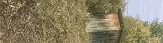 Земельный участок с кадастровым номером 72:01:0104001:594, площадью 493 +/  16 кв. м, расположенный по адресу: Тюменская область, Абатский район, территория СНТ «Строитель», ул. № 7, участок 18, с расположенным на нем кирпичным строением  дачный дом  площадью 16 кв. м. Земельный участок с…