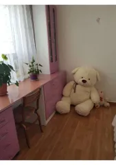 Дом 85,2 м² и участок 1188 м², Оренбургская обл. Кадастровый номер дома: 56:28:1304017:332. Земельный участок площадью 1188 м², кадастровый номер: 56:28:1304017:363, категория/ВРИ – ЗНП/ИЖС по адресу: Оренбургская обл., Северный р-н, с. Северное, ул. 40 лет Октября, д. 13А.