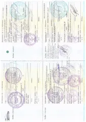 Автомобиль LADA 211440 VIN ХТА21144094793098 2009 года выпуска. Модель 211440, объем двигателя 1596, мощность 80.9, пробег 212976 км, вид транспорта легковой.