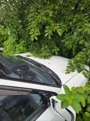 Годные остатки автомобиля Mazda 323, регистрационный знак иностранного государства АН6785ОВ (передняя табличка фактически отсутствует). Цвет кузова – белый. Год выпуска и VIN-номер не установлены. Информация о регистрационном учете ТС на территории РФ отсутствует. Трещины и сколы на переднем и…