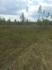 Земельный участок 1500 кв.м, категория земли населенных пунктов, кадастровый номер 03:16:540101:1165. Россия, Респ Бурятия, р-н Прибайкальский, с Турунтаево, пер Зеленый, дом 28. Разрешенное использование строительство ИЖС. Продается ¼ доля.