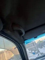 Легковой автомобиль Mazda MPV, 2001 год, серый цвет. ПТС 14РО023806, госномер Т886КТ19. Двигатель 222019, номер 222019, мощность 137.7 л.с. (101.25 кВт), объем 1991 см³. Кузов LWEW-184466, максимальная масса 1995 кг, масса без нагрузки 1610 кг.