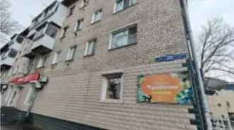 Нежилое помещение магазин 60,7 кв.м в Биробиджане, кадастровый номер 79:01:0300004:1115, виды разрешенного использования объекта недвижимости: Торговые помещения, местоположение: Еврейская автономная область, г Биробиджан, ул. Шолом-Алейхема, д. 20, площадь 60,7 кв.м, этаж № 1. Движимое имущество…