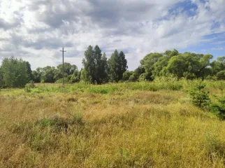 Земельный участок площадью 3070 кв.м, расположенный по адресу: Тамбовская область, Тамбовский муниципальный округ, с. Большая Талинка, ул. Ворошилова, земельный участок 11. Кадастровый номер: 68:20:0000000:5856. Участок находится в границах кадастровых кварталов 68:20:0802001 и 68:20:0806001. Земли…