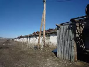 Нежилое здание - телятник, кад. № 74:11:0904003:175, инвентарный №5795, S=1817,30 кв.м., Челябинская обл., Кизильский район, п. Урал, ул. Строительная, 26, с правом аренды земельного участка с кад. № 74:11:0905003:2, земли населенных пунктов, для индивидуального животноводства, S=10490 кв.м…