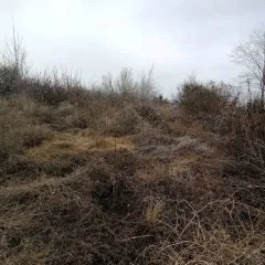 Земельный участок 600 кв.м, Волгоградская обл., кад. № 34:05:010202:2, адрес: Волгоградская обл., г. Дубовка, с/т Строитель, участок 104 (межевание проведено). Вид разрешенного использования - для ведения садоводства. Имеются ограничения прав на земельный участок, предусмотренные ст. 56 Земельного…