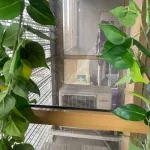 Квартира площадью 61,2 кв. м, кадастровый номер 77:02:0014011:17314
Адрес: 129323, город Москва, вн.тер.г. муниципальный округ Свиблово, проезд Лазоревый, дом 1А, корпус 1, квартира 211, этаж 5