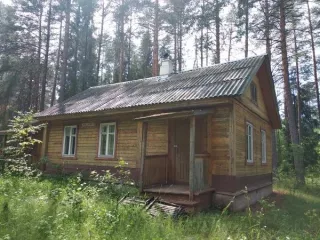 Земельный участок общей площадью 30500 кв.м. с кадастровым номером: 43:09:320201:518, по адресу: Российская Федерация, Кировская область, Зуевский район, поселок Косино, с расположенными на нем объектами недвижимого имущества. Земельный участок общей площадью 30500 кв.м. с кадастровым номером…