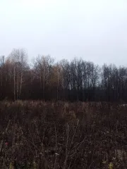 Земельный участок 1000 кв.м, с. Лесные Моркваши, ул. Сосновая, уч. 77, Республика Татарстан, площадь: 1 000 кв.м., адрес (местонахождение): Российская Федерация, Республика Татарстан, муниципальный район Верхнеуслонский, сельское поселение Набережно-Морквашское, село Лесные Моркваши, улица…