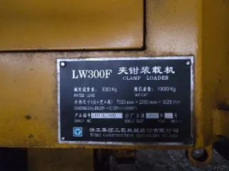 Фронтальный погрузчик XCMG LW300F 130F0123480. Иркутская область, г. Усть-Илимск, тер Промплощадка УИ ЛПК, зд. 000000/1277.