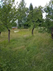Земельный участок, 572 кв.м, СНТ "Оргстрой", линия 8, уч. 208, Ленинградская область, адрес: Ленинградская область, Волховский муниципальный район, Кисельнинское сельское поселение, массив Пупышево, СНТ "Оргстрой", линия 8, уч. 208, кадастровый номер 47:10:1339006:16.
