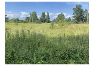 Земельный участок 5867 кв.м, Вологодская обл, д. Званец 2/3 доли земельного участка в Вологодской области еще 2/3 доли земельного участка в Вологодской области еще 2/3 доли в общей долевой собственности на земельный участок, площадь 5867 кв.м., адрес (местонахождение): Вологодская область, р-н…