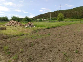 Доля здания 76.8 кв.м и участка 3703 кв.м Амурская область 1/5 доля здания, площадь 76.8 кв.м., назначение: жилое, количество этажей: 1, адрес (местонахождение): Россия, Амурская область, р-н Магдагачинский, с Черняево, ул Подгорная, д 20, кадастровый (условный) номер: 28:16:013901:1259. 1/5 доля…