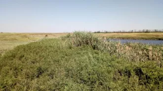 ГТС водохозяйственного объекта согласно учетной карточке № 1733003 Балка Салантырь, кадастровый номер 61:33:0600002:404 Общее техническое состояние гидротехнического сооружения оценивается как работоспособно (продолжает выполнять заданные функции), но неисправно; неудовлетворительное состояние…