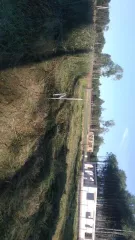 Земельный участок 1103 кв.м Ярославская область площадью 1103 кв.м категория земель земли сельскохозяйственного назначения расположенный по адресу Ярославская область муниципальный район Некрасовский сельское поселение Некрасовское деревня Елохова территория снт Малые Соли парк улица Солнечная…