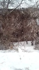 Квартира 34,9 кв.м, Кировская область, Верхошижемский район, деревня Большие Кулики, улица Труда, дом 29, квартира 3. Жилое помещение, 1 комната, 2 этаж. Кадастровый номер: 43:06:330101:242, вид собственности: индивидуальная.