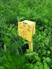Сети водоснабжения: колодцы водопроводные диаметром 1м - 177 ед, сети водопровода общей протяженностью 12 800 п.м, в том числе: из полиэтиленовых труб диаметром 160мм – 12000 п.м, из стальных труб диаметром 160 мм – 800 п.м. Сети канализации: колодцы канализационные диаметром 1м - 187 ед, сети…