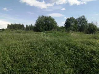 Земельные участки 705 кв.м и 705 кв.м и 705 кв.м Ярославская область Земельный участок в Ярославской области, 705 кв.м. Земельный участок в Ярославской области, 705 кв.м. Земельный участок, площадью 705 кв.м., по адресу: Ярославская область, Гаврилов-Ямский р-н, с/п Заячье-Холмский, с. Унимерь, с…