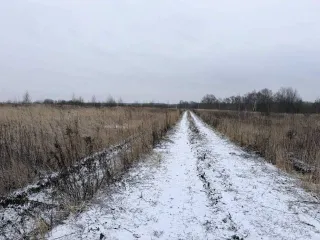 Земельный участок 600 кв.м в Московской области, городской округ Раменский, деревня Аргуново. Кадастровый номер: 50:23:0050573:1513. Площадь: 600 +/- 17 кв.м. Категория земель: сельскохозяйственного назначения. Вид разрешенного использования: для ведения садоводства.