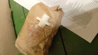 Вещевое имущество войсковой частью 3287: высвобождаемое движимое военное имущество (имущество вещевой службы) в соответствии с приложением.