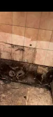 Квартира, 66:45:0200341:2514, Свердловская область квартира, кадастровый номер 66:45:0200341:2514 осмотр квартиры возможно произвести, предварительно согласовав дату, время по телефону 89920099051
