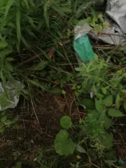 Казанка 5М4 1990 года. Регистрационный номер Р86-66ЧУ. Оснащен встроенным эхолотом и двигателем Yamaha с номером 1046674. П14130000032. Ключи отсутствуют, судовой билет имеется. Работоспособность двигателя под сомнением, находится длительное время на хранении на открытой площадке. Сведения о…