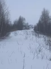 Сооружение автодорога на промплощадку, кадастровый номер 62:19:0980101:470, по адресу: Рязанская область, Скопинский район, с. Петрушино, площадь 1440 кв. м.