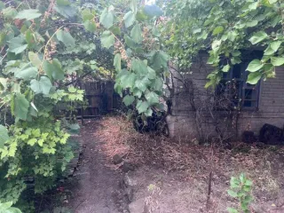 Продается имущество в Таганроге по адресу: пер. 9-й Новый, д. 1-б. В состав входят: нежилое здание общей площадью 123,5 кв. м (1 этаж), сарай 14,8 кв. м, туалет 5,1 кв. м (реестровый номер П2300001090) и земельный участок площадью 383 кв. м (кадастровый номер 61:58:0004023:2). Общая площадь…