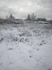 Земельный участок площадью 1500 кв.м с кадастровым номером 54:19:110501:209, расположенный по адресу: Новосибирская область, Новосибирский район, МО Станционный сельсовет, поселок Ленинский, улица Центральная, дом 45. Объект находится в залоге у ПАО Сбербанк.