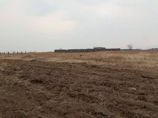 Земельный участок, кадастровый (условный) номер 75:32:040355:795, площадью 1000 к.в., Место нахождения: Россия, Забайкальский край, г. Чита, в районе ДНТ Кенон. Виды разрешенного использования: для размещения - дачного некоммерческого товарищества. Состояние: Удовлетворительное. Ограничения…