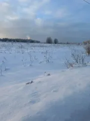 Земельный участок 1200 кв.м в Московской области, Сергиево-Посадский район, в районе деревни Новоселки, северо-восточная часть кадастрового квартала 50:05:0020237.