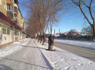 Нежилое помещение 870.9 м2 Оренбургская область Помещение, кадастровый номер: 56:43:0115033:381, назначение: нежилое, 1 этаж. Площадь объекта: 870.9 м2. Адрес: Российская Федерация, Оренбургская область, город Орск, улица Горького, дом 119, нежилое встроенное помещение. Имеется задолженность по…